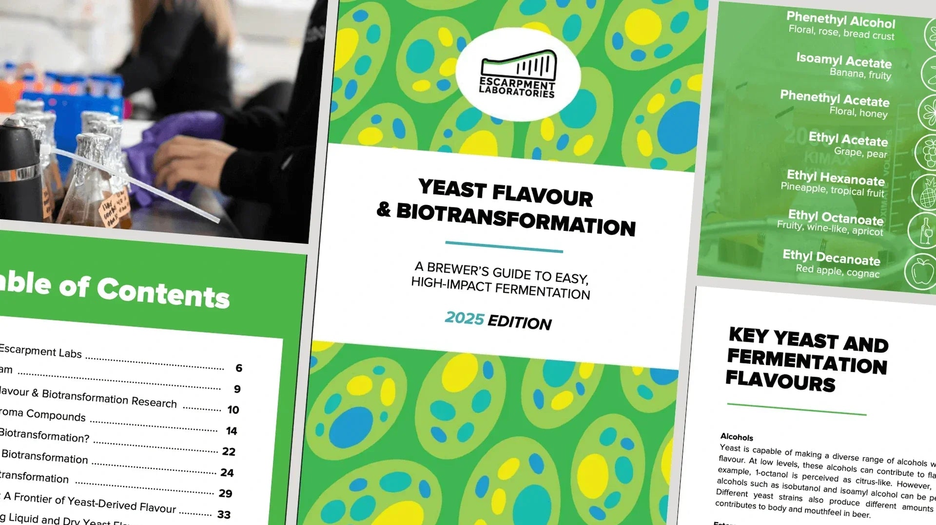 TÉLÉCHARGEMENT: GUIDE SUR LES SAVEURS ET LA BIOTRANSFORMATION