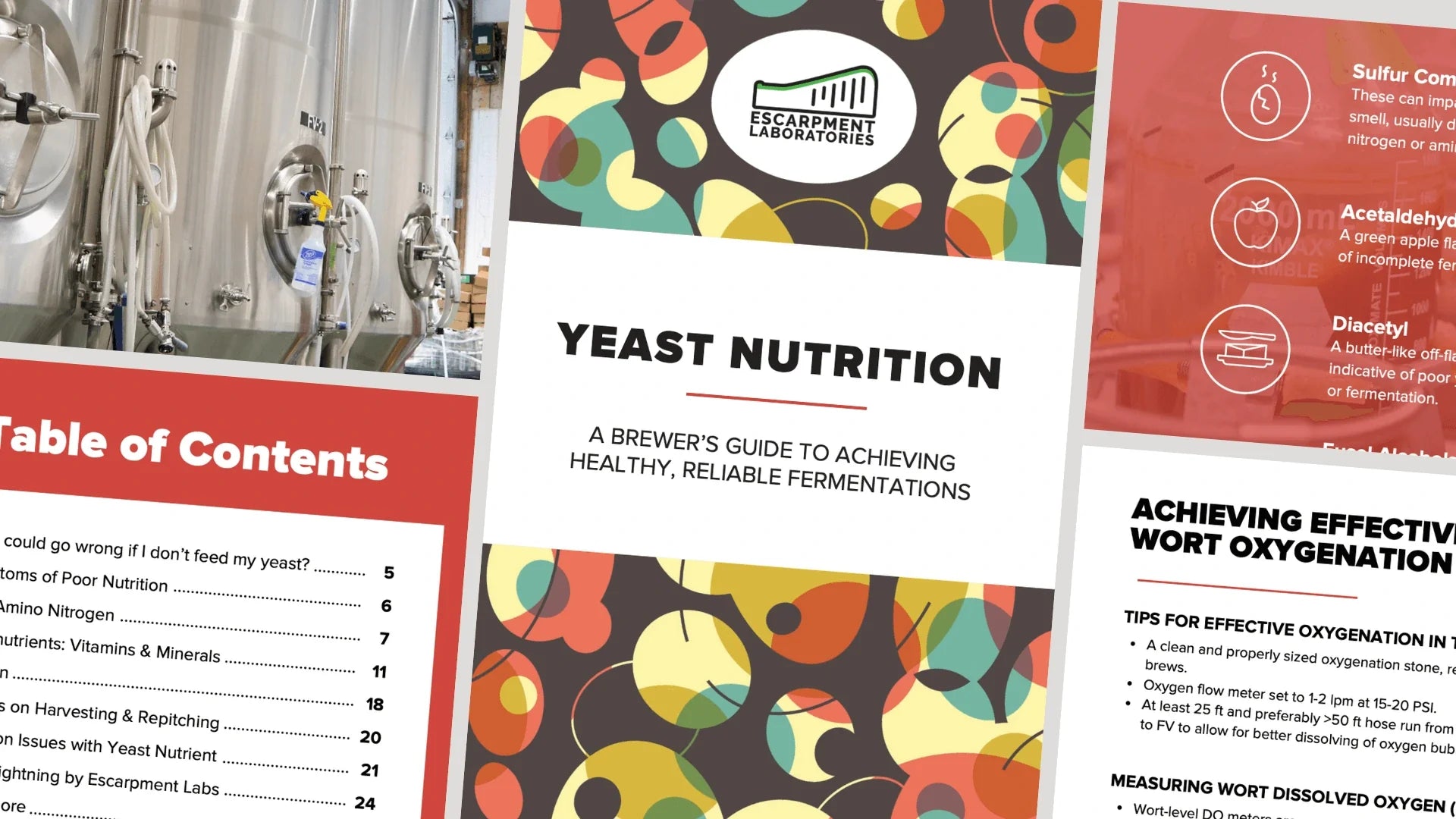 TÉLÉCHARGEMENT: GUIDE NUTRITION DE LA LEVURE