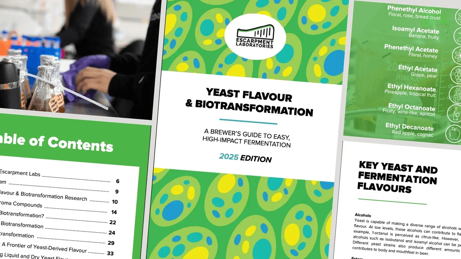 TÉLÉCHARGEMENT: GUIDE SUR LES SAVEURS ET LA BIOTRANSFORMATION